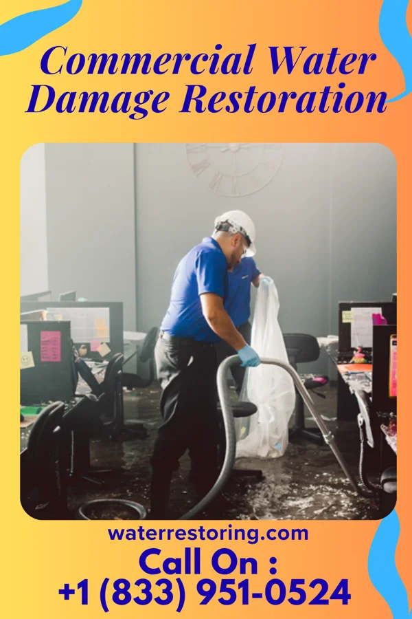 Commercial Water Damage Restoration in Lakeview, WA