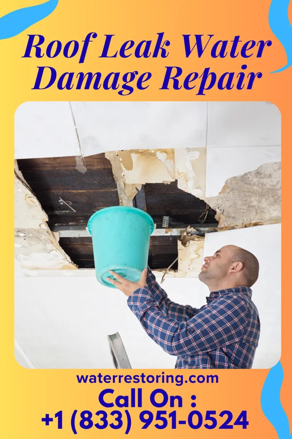Roof Leak Water Damage Repair in Lakeview, WA